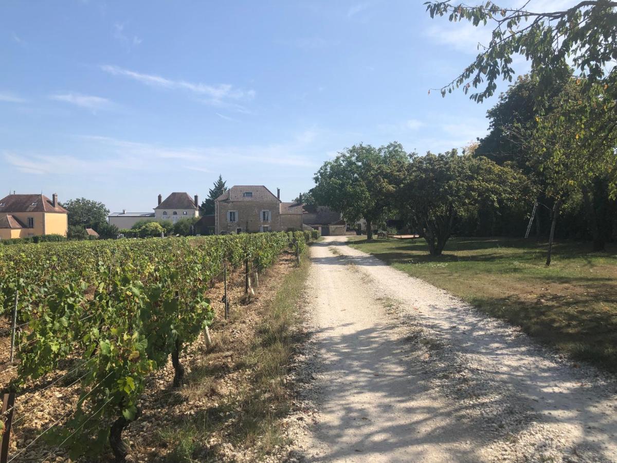Maison De Pauline, Chablis Vineyard Préhy Esterno foto