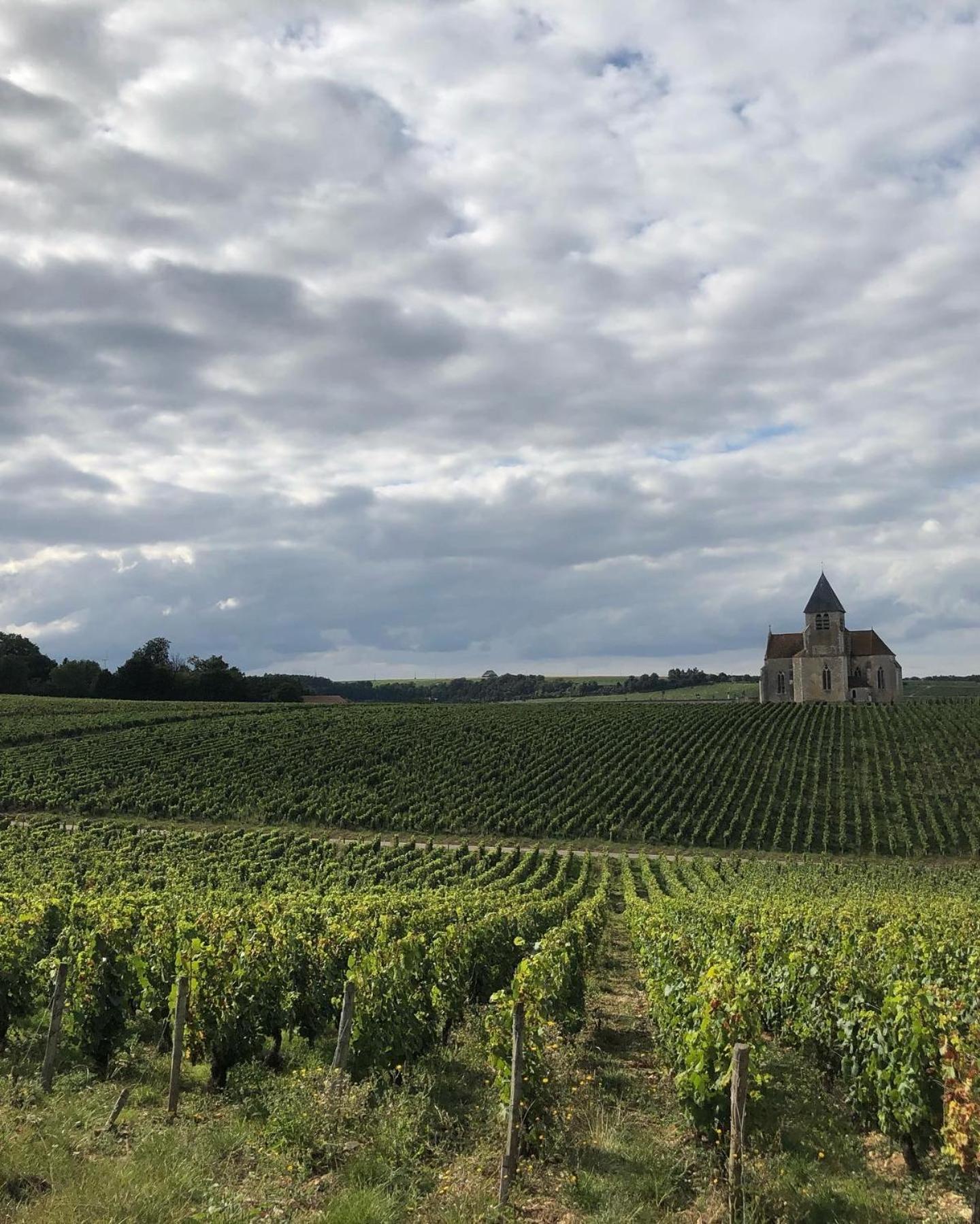 Maison De Pauline, Chablis Vineyard Préhy Camera foto