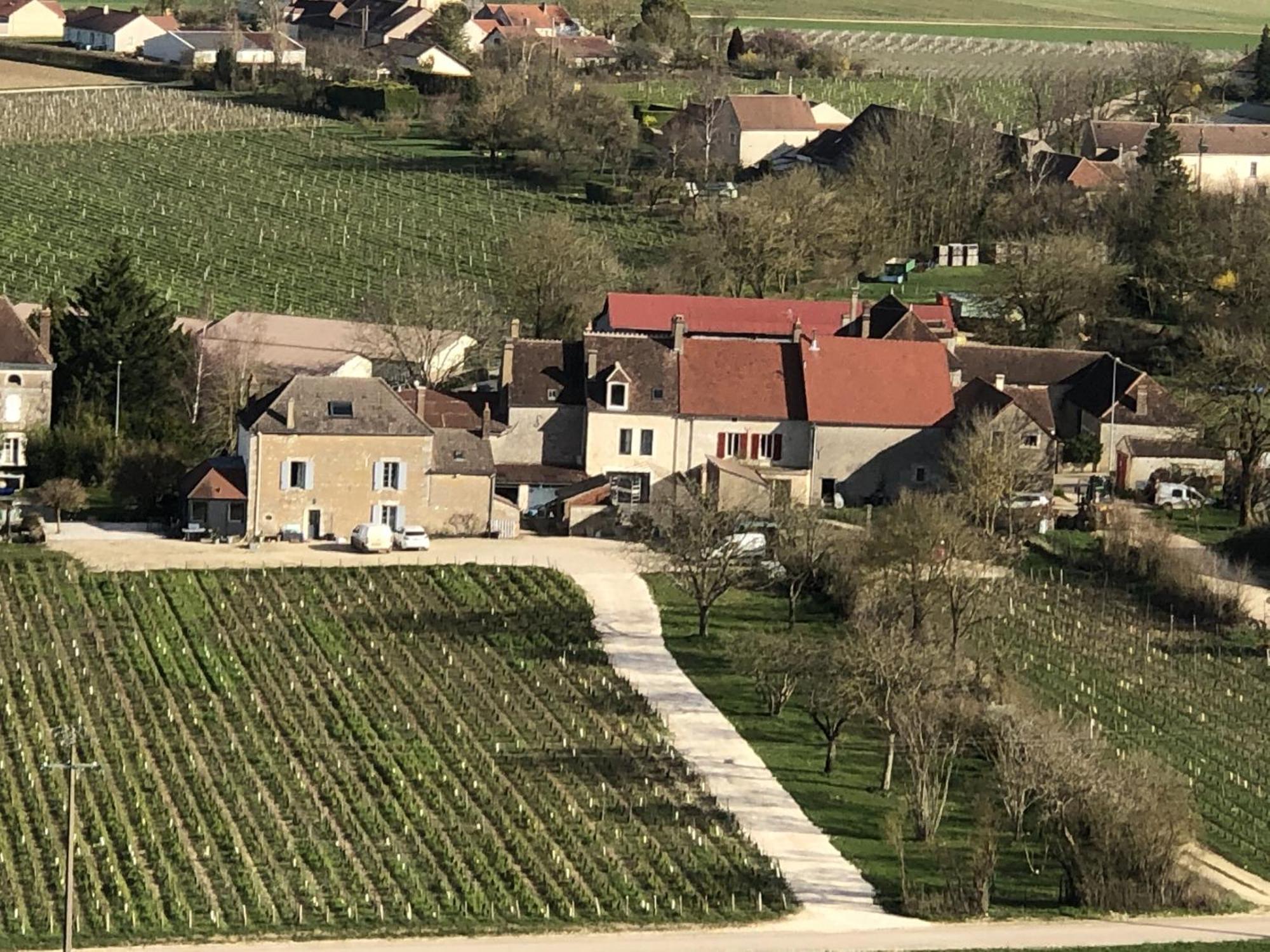 Maison De Pauline, Chablis Vineyard Préhy Esterno foto